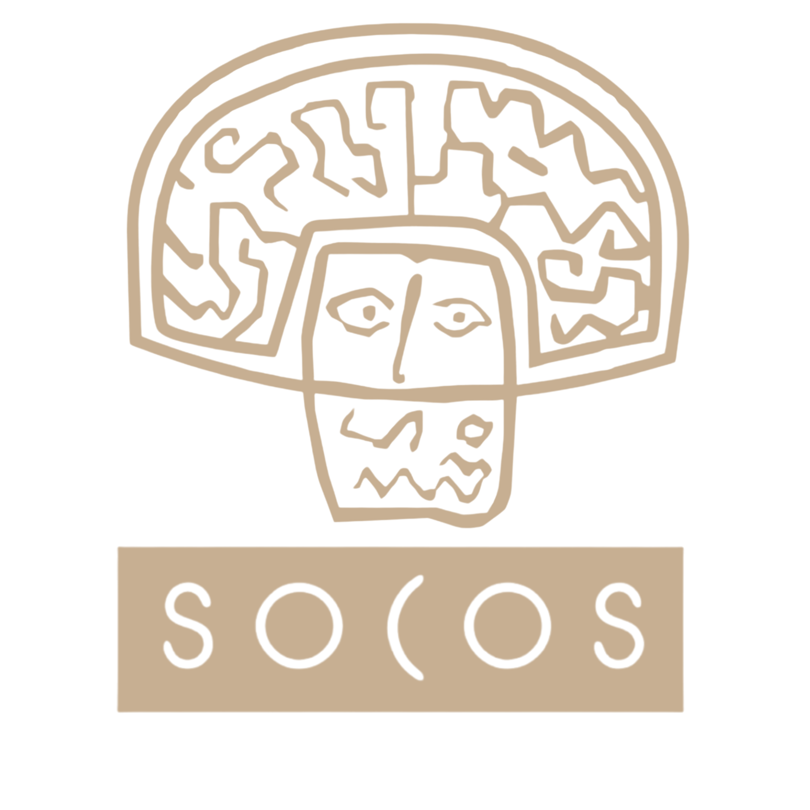 Termas de Socos · Hotel, Termas y Camping.